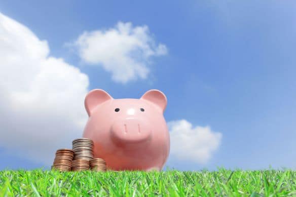 27556101 A Pink Piggy Bank And Money With Sky Background