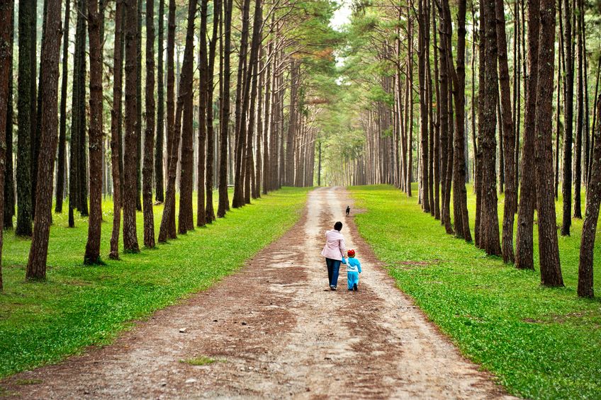 12380617 Mother And Baby Walk On Country Rural Road In Pine Forest